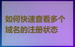 如何快速查看多个域名的注册状态