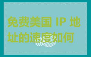 免费美国 IP 地址的速度如何