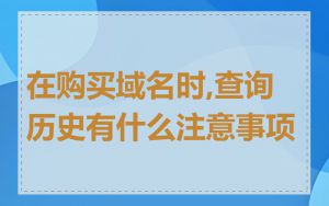 在购买域名时,查询历史有什么注意事项