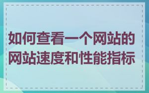 如何查看一个网站的网站速度和性能指标