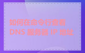 如何在命令行查看 DNS 服务器 IP 地址