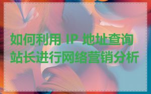 如何利用 IP 地址查询站长进行网络营销分析