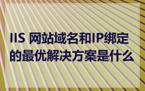 IIS 网站域名和IP绑定的最优解决方案是什么