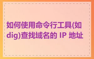 如何使用命令行工具(如 dig)查找域名的 IP 地址