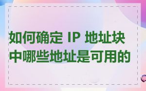 如何确定 IP 地址块中哪些地址是可用的