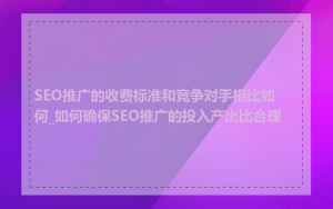 SEO推广的收费标准和竞争对手相比如何_如何确保SEO推广的投入产出比合理