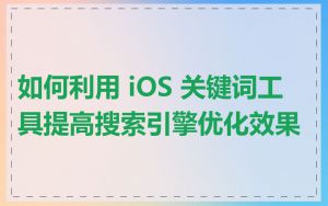 如何利用 iOS 关键词工具提高搜索引擎优化效果