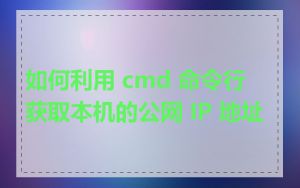 如何利用 cmd 命令行获取本机的公网 IP 地址