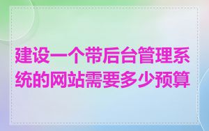 建设一个带后台管理系统的网站需要多少预算