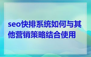 seo快排系统如何与其他营销策略结合使用