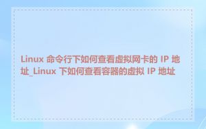 Linux 命令行下如何查看虚拟网卡的 IP 地址_Linux 下如何查看容器的虚拟 IP 地址