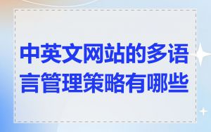 中英文网站的多语言管理策略有哪些