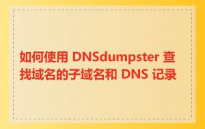 如何使用 DNSdumpster 查找域名的子域名和 DNS 记录