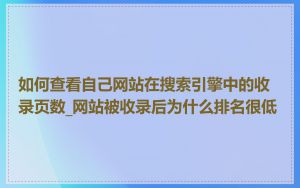 如何查看自己网站在搜索引擎中的收录页数_网站被收录后为什么排名很低