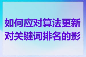 如何应对算法更新对关键词排名的影响