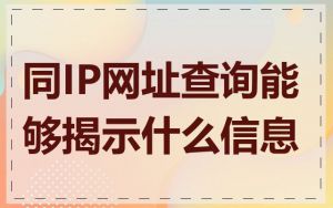 同IP网址查询能够揭示什么信息