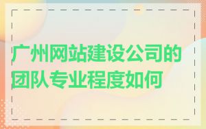 广州网站建设公司的团队专业程度如何