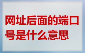 网址后面的端口号是什么意思