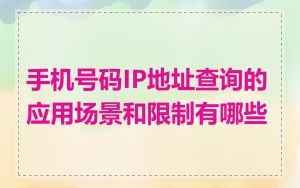 手机号码IP地址查询的应用场景和限制有哪些