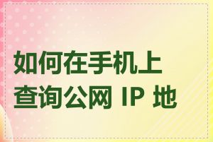 如何在手机上查询公网 IP 地址