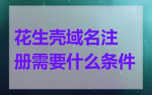 花生壳域名注册需要什么条件