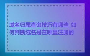 域名归属查询技巧有哪些_如何判断域名是在哪里注册的