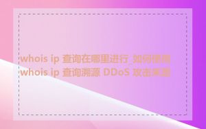 whois ip 查询在哪里进行_如何使用 whois ip 查询溯源 DDoS 攻击来源