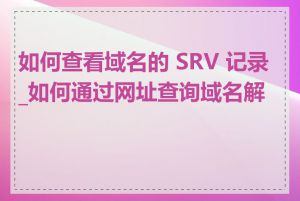 如何查看域名的 SRV 记录_如何通过网址查询域名解析