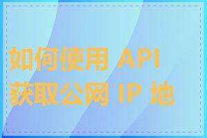 如何使用 API 获取公网 IP 地址