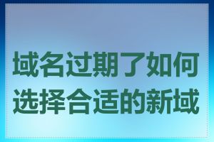 域名过期了如何选择合适的新域名