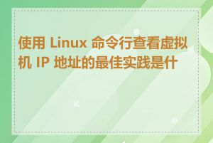 使用 Linux 命令行查看虚拟机 IP 地址的最佳实践是什么