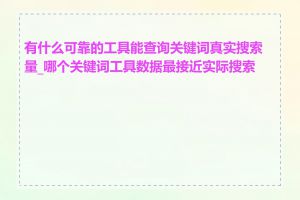 有什么可靠的工具能查询关键词真实搜索量_哪个关键词工具数据最接近实际搜索量