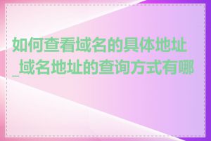 如何查看域名的具体地址_域名地址的查询方式有哪些