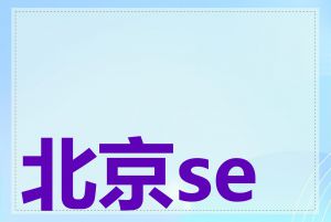 北京seo公司实力