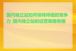 国内独立站如何保持持续的竞争力_国内独立站的运营策略有哪些