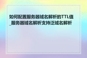 如何配置服务器域名解析的TTL值_服务器域名解析支持泛域名解析吗