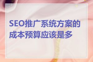 SEO推广系统方案的成本预算应该是多少