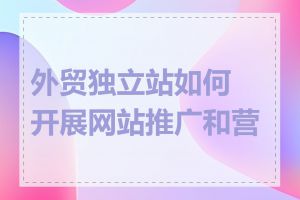 外贸独立站如何开展网站推广和营销