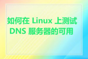 如何在 Linux 上测试 DNS 服务器的可用性