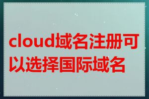 cloud域名注册可以选择国际域名吗