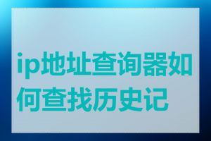 ip地址查询器如何查找历史记录