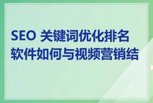 SEO 关键词优化排名软件如何与视频营销结合