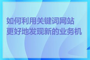 如何利用关键词网站更好地发现新的业务机会