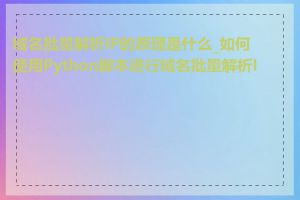 域名批量解析IP的原理是什么_如何使用Python脚本进行域名批量解析IP