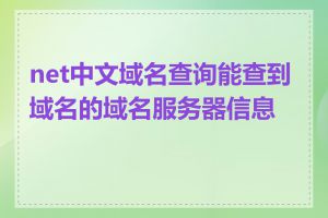 net中文域名查询能查到域名的域名服务器信息吗