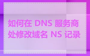 如何在 DNS 服务商处修改域名 NS 记录