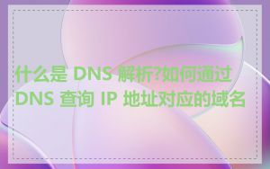 什么是 DNS 解析?如何通过 DNS 查询 IP 地址对应的域名