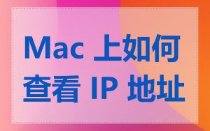 Mac 上如何查看 IP 地址