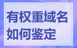 有权重域名如何鉴定