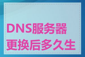 DNS服务器更换后多久生效